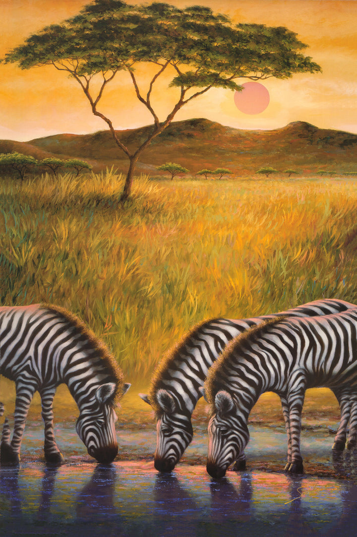 Zebra Respite by Joe Sambataro - 36 X 24 Inches (Art Print)