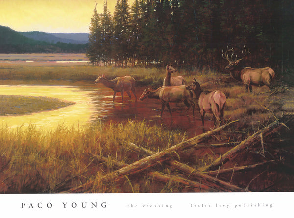 The Crossing by Paco Young - 27 X 36 Inches (Art Print)