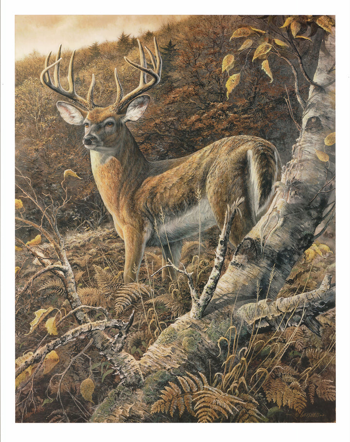 Duke of Autumn by Duane Geisness - 30 X 24 Inches (Art Print)
