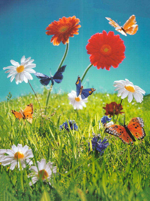 Flowers and Butterflies by Florian Kleinefenn - 12 X 16 Inches (Art Print)
