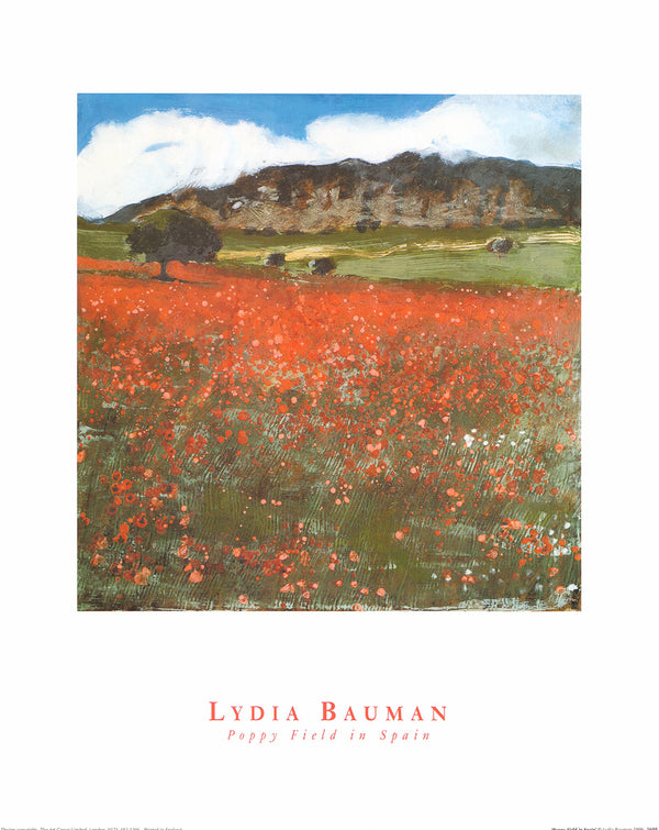 Poppy Field in Spain by Lydia Bauman - 16 X 20 Inches (Art Print)