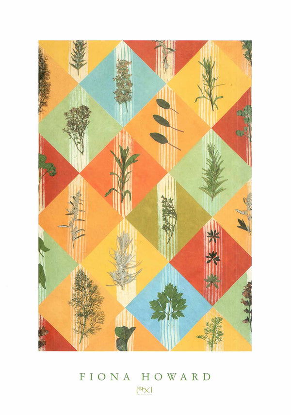 Harlequin Herbs by Fiona Howard - 20 X 28 Inches (Art Print)