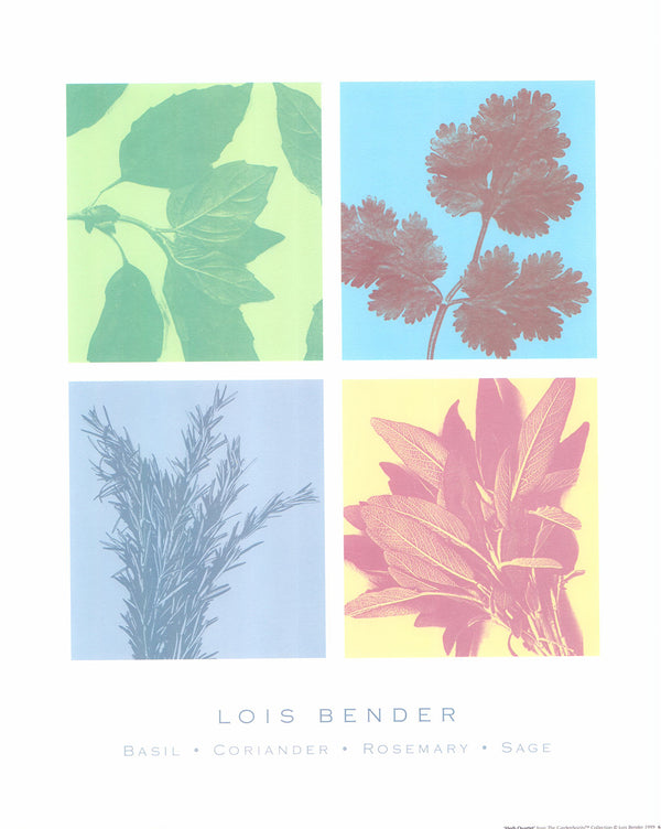 Herb Quartet by Lois Bender - 16 X 20 Inches (Art Print)