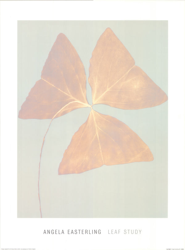 Leaf Study by Angela Easterling - 24 X 32 Inches (Art Print)