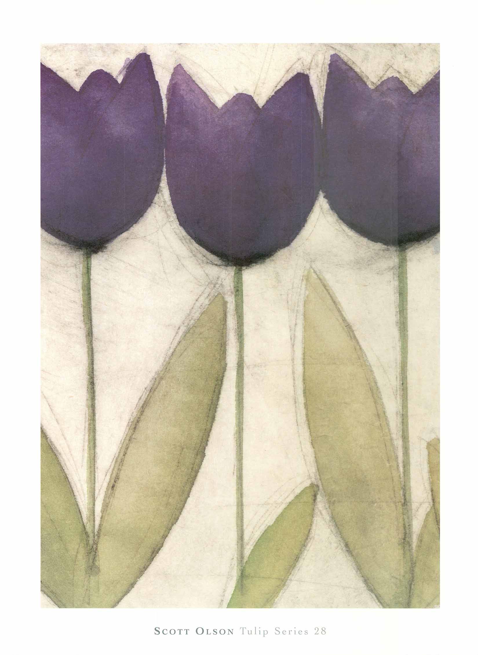 Tulip Series 28 by Scott Olson - 24 X 32 Inches (Art Print) – Artistica ...