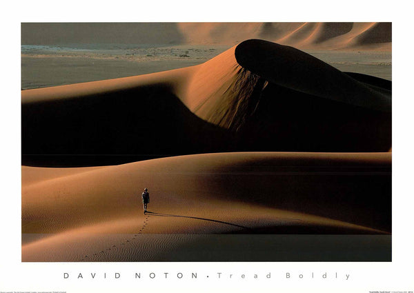 Tread Boldly, Namib Desert by David Noton - 20 X 28 Inches (Art Print)