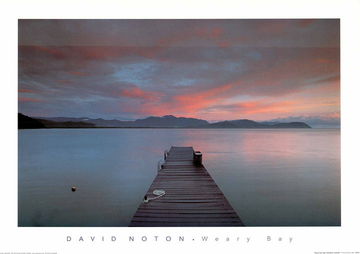 Weary Bay, Cape Tribulation, Australia by David Noton - 20 X 28 Inches (Art Print)