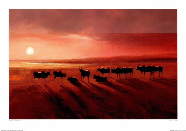 Zebu at Dusk by Jonathan Sanders - 28 X 20 Inches (Art Print)