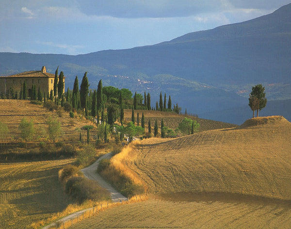 Tuscan Landscape by Bruno Morandi  - 10 X 12 Inches (Art Print)