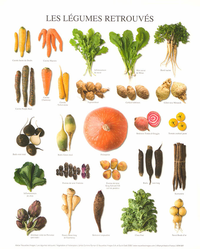 Vegetables of Yesteryears by Atelier Nouvelles Images - 10 X 12 Inches (Art Print)