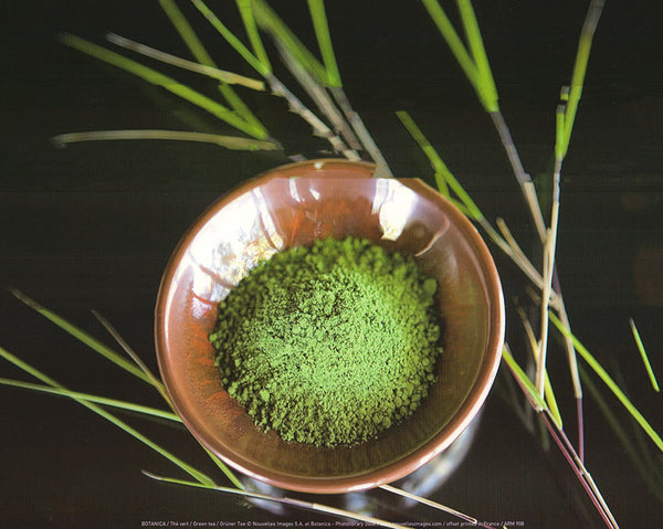Green Tea by Botanica - 10 X 12 Inches (Art Print)