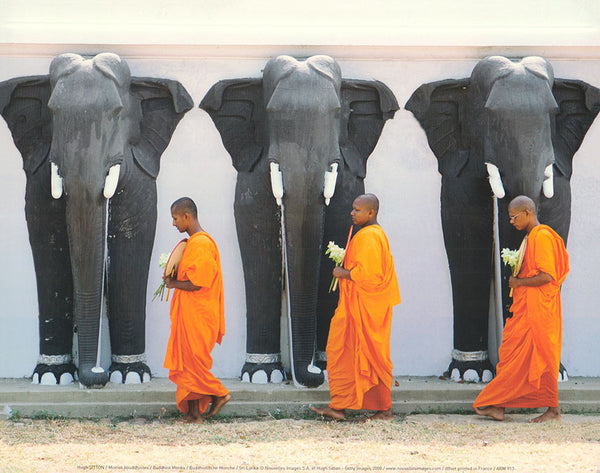 Buddhist Monks by Hugh Sitton - 10 X 12 Inches (Art Print)