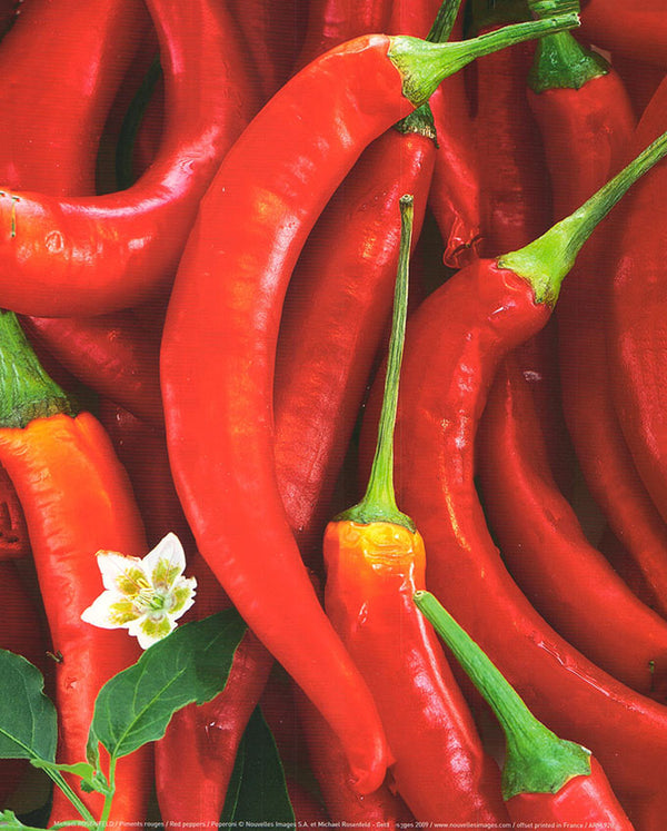 Red Peppers by Michael Rosenfeld - 10 X 12 Inches (Art Print)