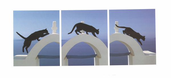 Greek Cat by Pierre Putelat - 9 X 20 Inches (Art Print)
