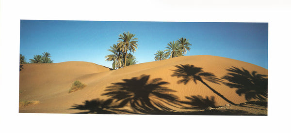 Oasis, Morocco, 1998 by Bruno Barbey - 9 X 20 Inches (Offset Lithograph)