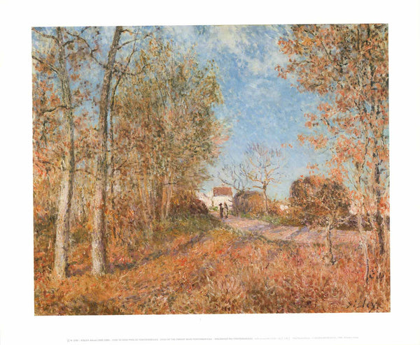Edge of the Forest Near Fontainebleau by Alfred Sisley - 20 X 24 Inches (Art Print)