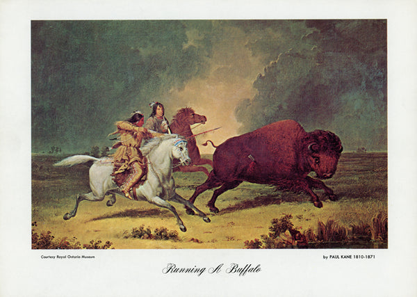 Running a Buffalo by Paul Kane - 8 X 11 Inches (Art Print Color)