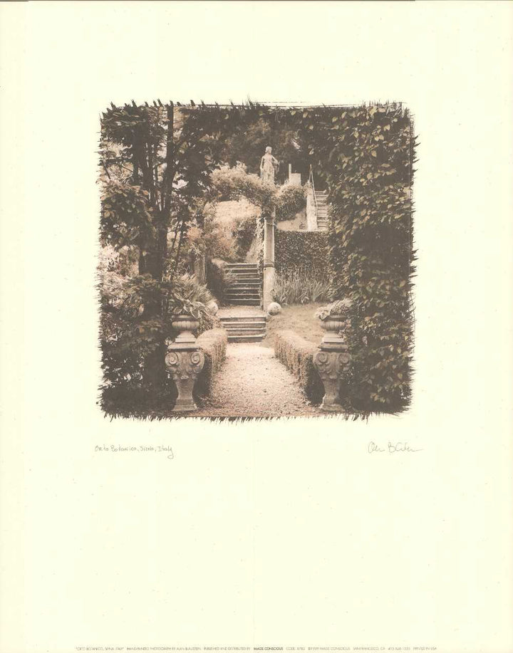 Orto Botanico, Siena, Italy by Alan Blaustein - 16 X 20 Inches (Art Print)