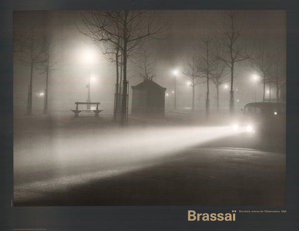 Brouillard, avenue de l'Observatoire, 1934 by Brassaï - 24 X 36 Inches (Offset Lithograph)