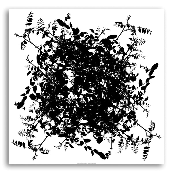 Rond Nature Blanc, 2007 by Le Beuan Bénic - 36 X 36 Inches (Silkscreen / Sérigraphie)