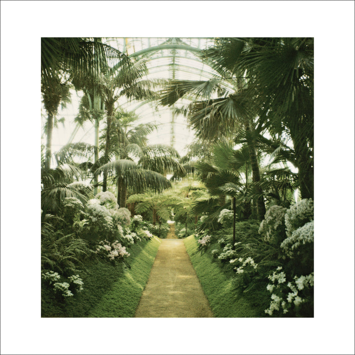 Greenhouse 12 by Alexandre Bibaut - 27 X 27 Inches (Silkscreen / Sérigraphie)