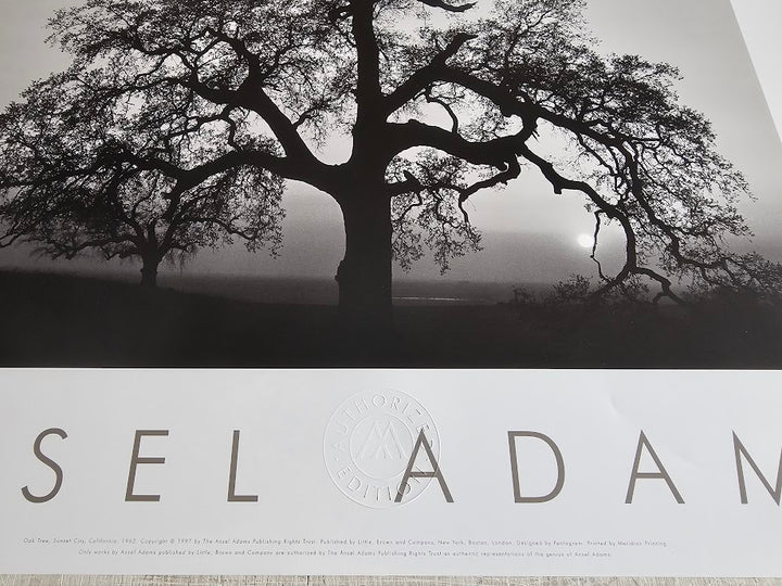 Oak Tree Sunset, California, 1962 by Ansel Adams - 24 X 36 Inches (Offset Lithograph)