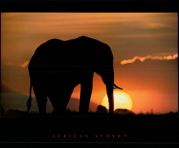 African Sunset by Martyn Colleck - 25 X 32 Inches (Art Print)