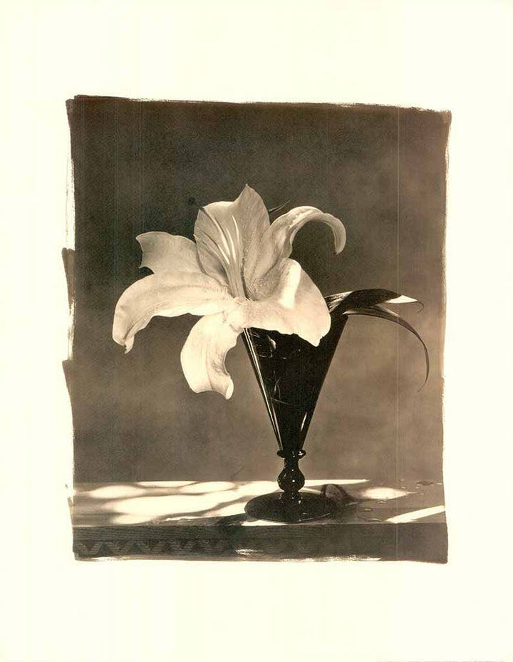 Lillies by Luther Gerlach - 22 X 28 Inches (Art Print)