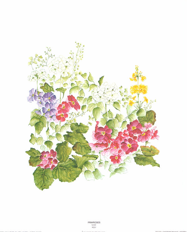 Primroses by Rozy - 16 X 20 Inches (Offset Lithograph Embossed Fine Art Print)