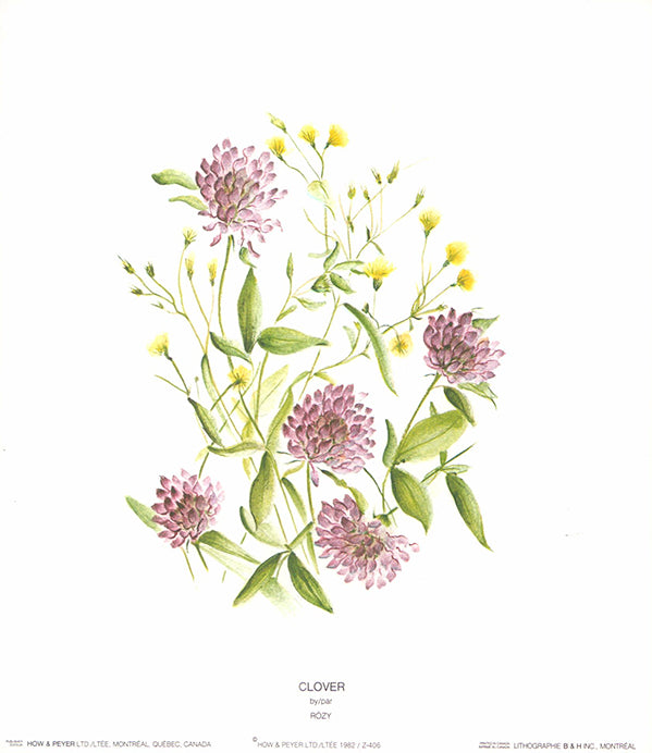 Clover by Rozy - 9 X 10 Inches (Offset Lithograph Fine Art Print)
