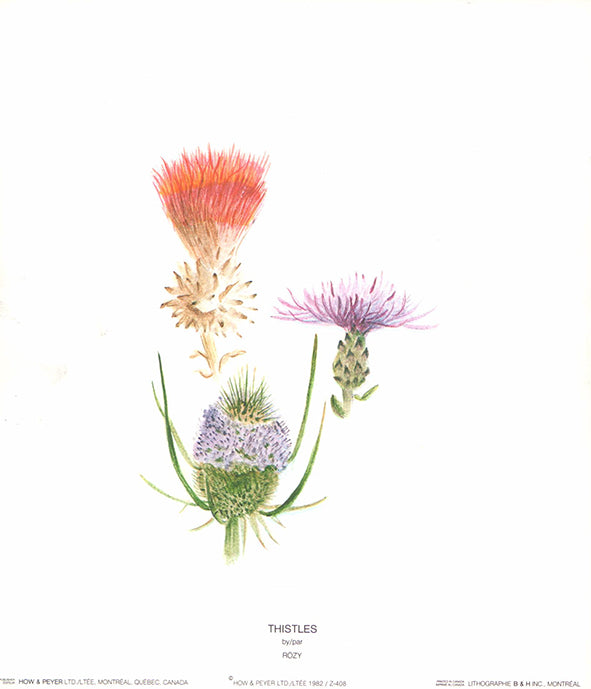 Thistles by Rozy - 9 X 10 Inches (Offset Lithograph Fine Art Print)