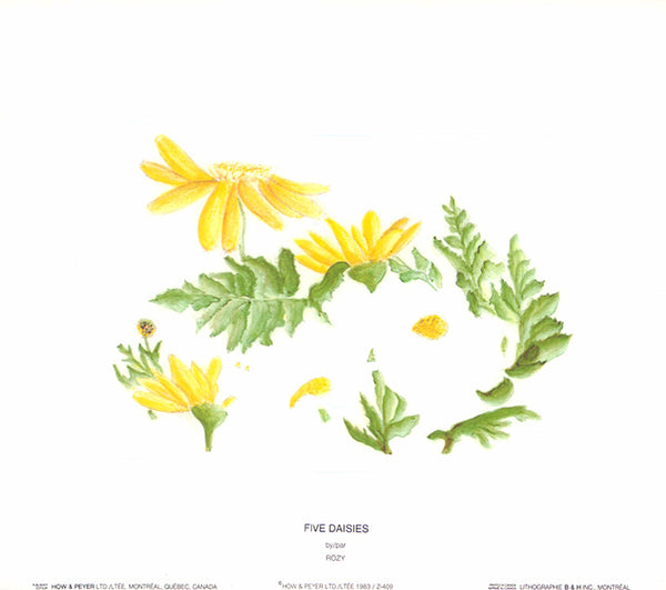 Five Daisies by Rozy - 9 X 10 Inches (Offset Lithograph Fine Art Print)