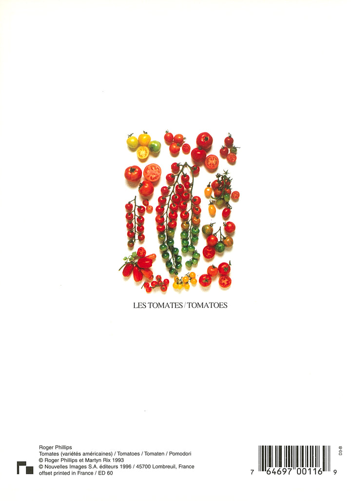 Tomatoes by Atelier Nouvelles Images - 5 X 7 Inches (Note Card)