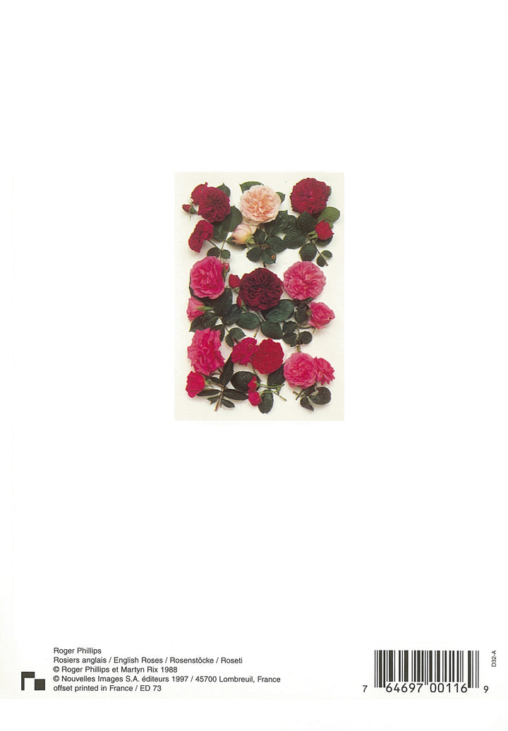 English Roses by Atelier Nouvelles Images - 5 X 7 Inches (Note Card)