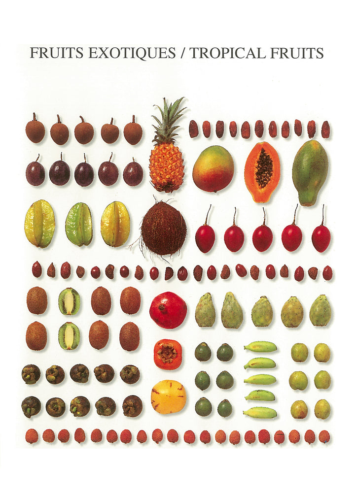 Tropical Fruits by Atelier Nouvelles Images - 5 X 7 Inches (Note Card)