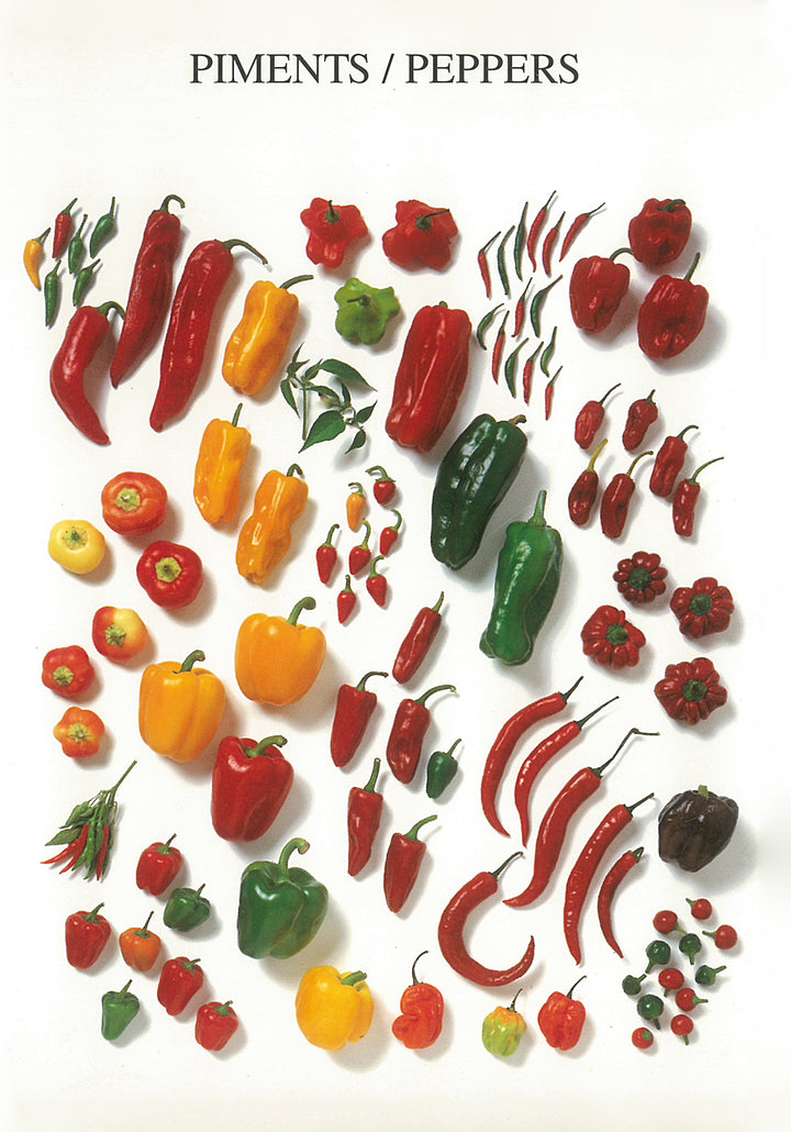 Peppers by Atelier Nouvelles Images - 5 X 7 Inches (Note Card)