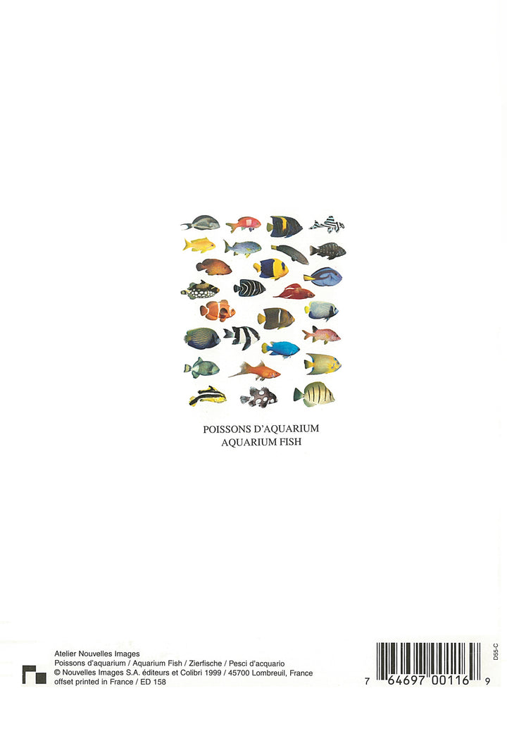 Aquarium Fish by Atelier Nouvelles Images - 5 X 7 Inches (Note Card)