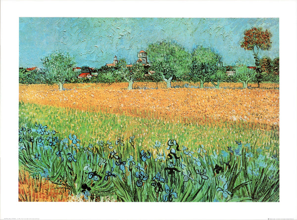 View of Arles With Irises by Vincent Van Gogh - 24 X 32 Inches (Art Print)