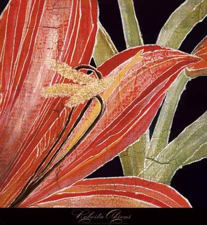 Red Amaryllis with Stem by Roberta Ahrens - 24 X 24 Inches (Art Print)
