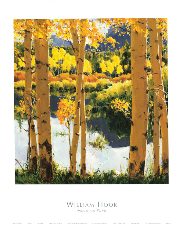 Mountain Pond by William Hook - 26 X 32 Inches (Art Print)