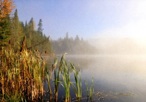 Photographié au Bic, (Québec) Canada by Gilles Charron - 5 X 7 Inches (Greeting Card)