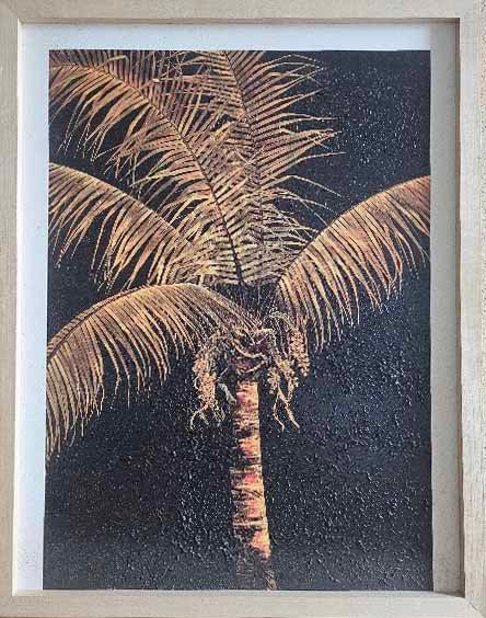Framed artwork of a palm tree against a dark background