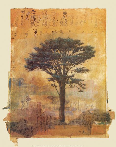 Presidio Cypress Study #1 by Donald Farnsworth - 19 X 24 Inches (Art Print)