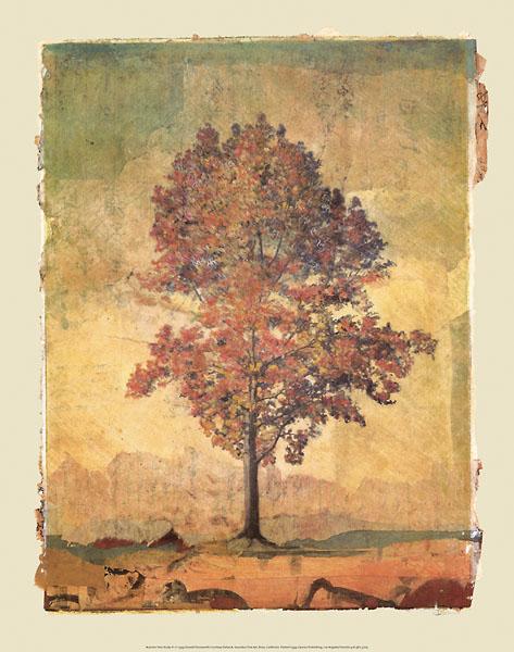 Autumn Tree Study #1 by Donald Farnsworth - 19 X 24 Inches (Art Print)