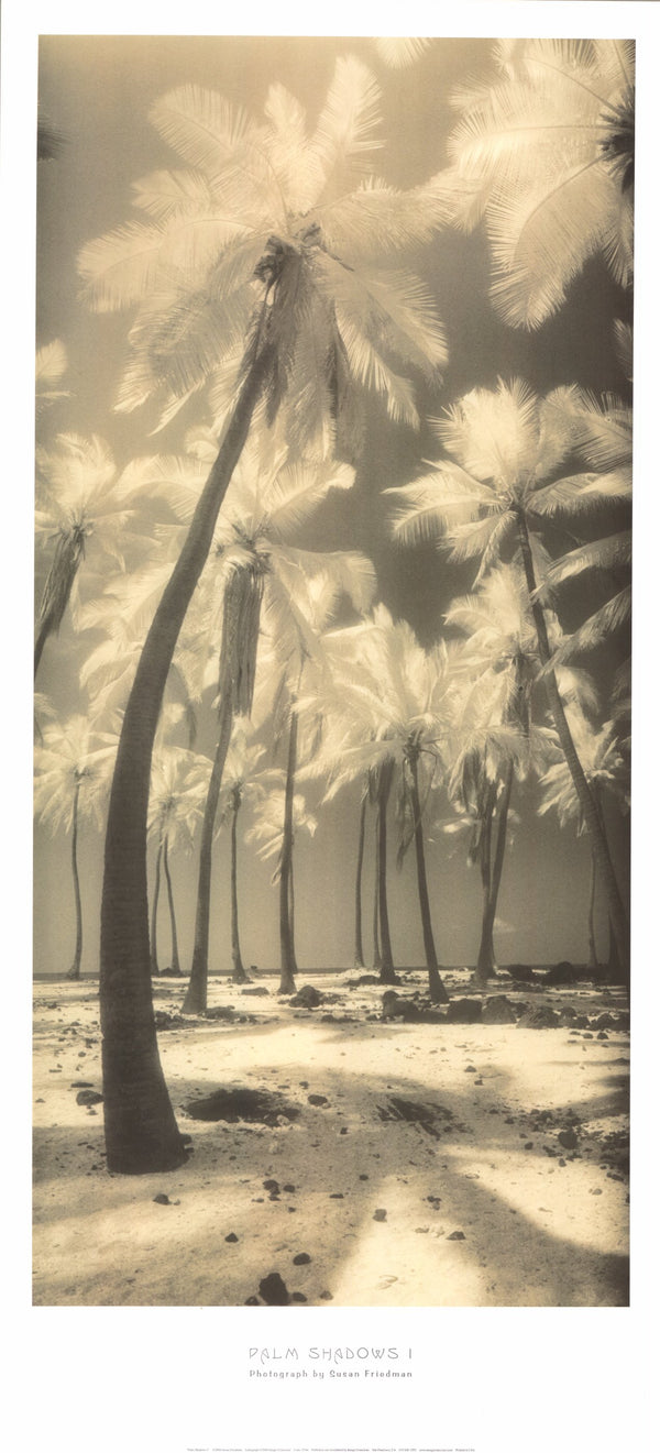 Palm Shadows I by Susan Friedman - 18 X 39 Inches (Art Print)