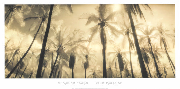 Palm Paradise by Susan Friedman - 19 X 38 Inches (Art Print)