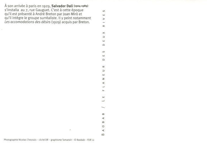 Salvador Dali - 4 X 6 Inches (10 Postcards)