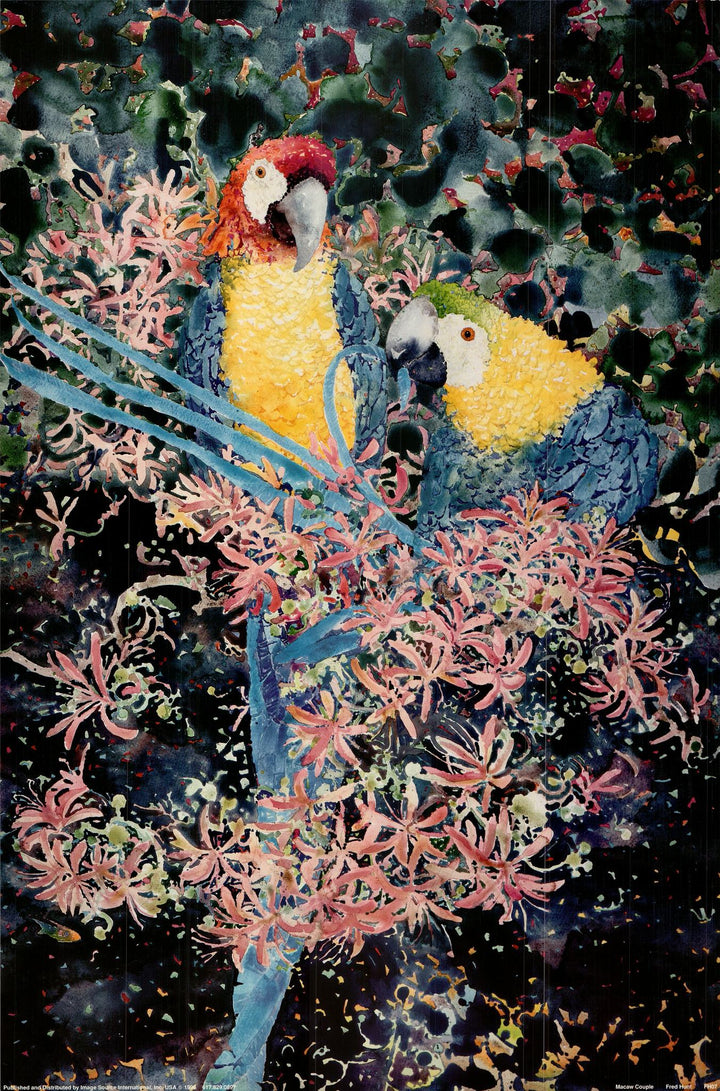 Macaw Couple by Fred Hunt - 24 X 36 Inches (Art Print)