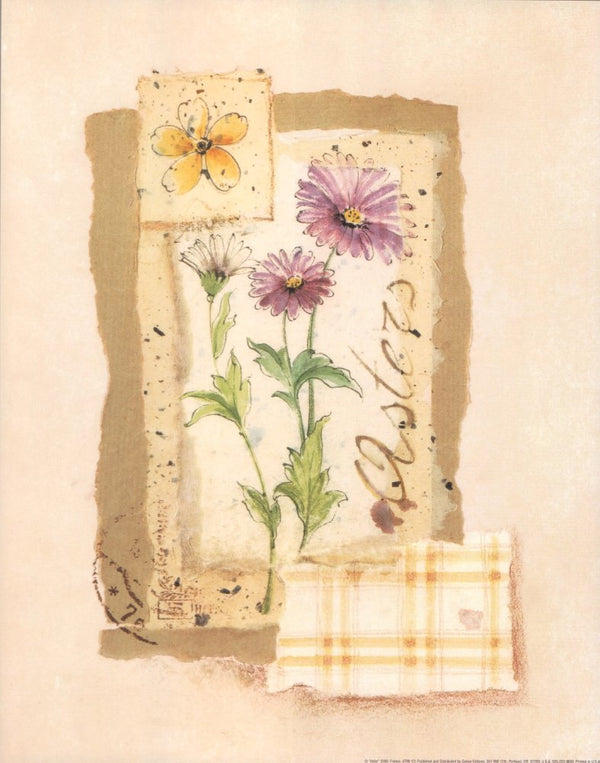 Aster by Franco - 11 X 14 Inches (Art Print)