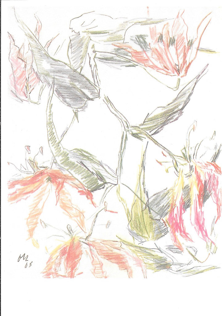 Flowers by Oskar Kokoschka - 4 X 6 Inches (10 Postcards)
